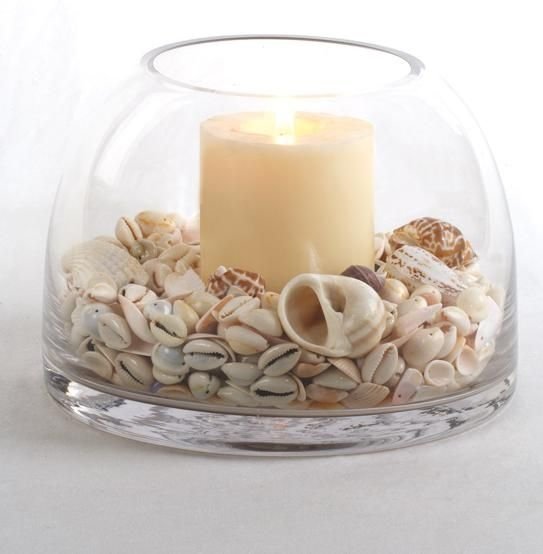 Shell Centerpiece