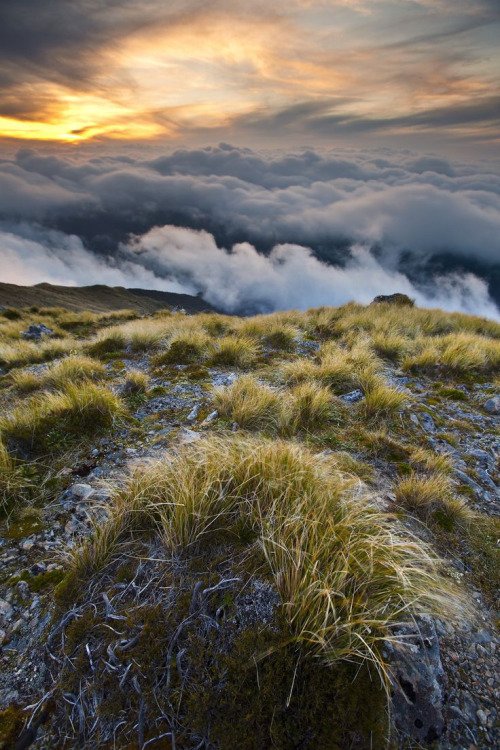 Coolest Country for Women: New Zealand