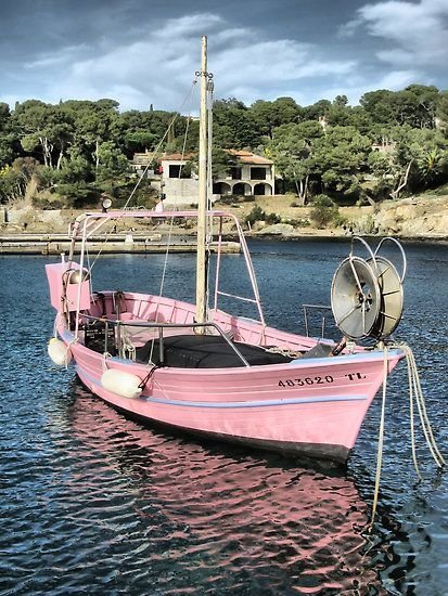 Pink Sailboat