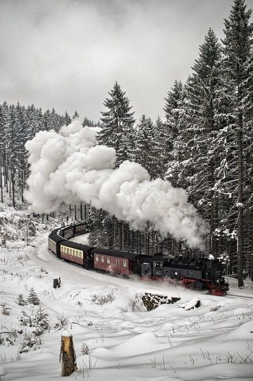 Snow Train