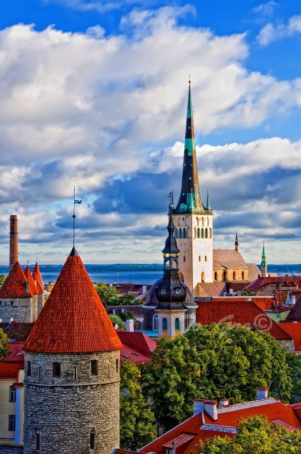 Tallinn,sky,landmark,city,tower,