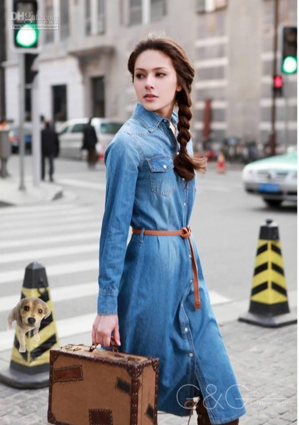 Denim Shirt Dress