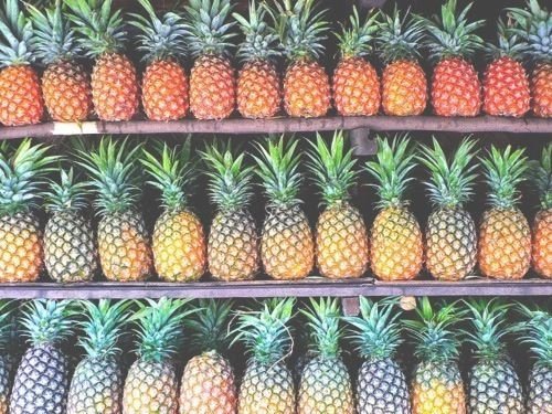 Pineapple