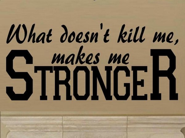 "from Life's School of War: What Does Not Kill Me Makes Me Stronger."