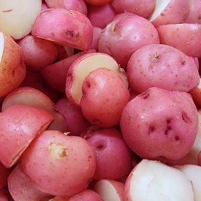 Red Potatoes