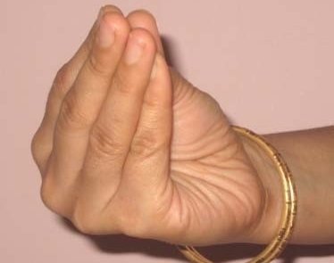 Mukula Mudra