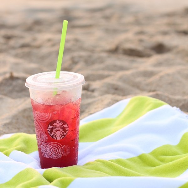 Starbucks, produce, drink, alcoholic beverage, plant,