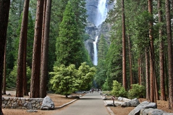 Lower Yosemite Falls