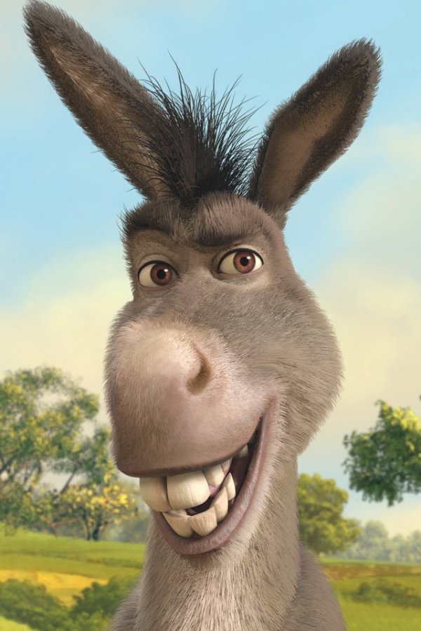 Donkey