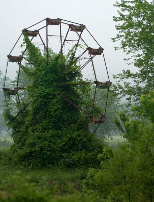 man made object, tree, plant, woody plant, outdoor structure,