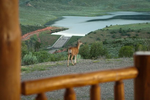 Avery Lake, Colorado