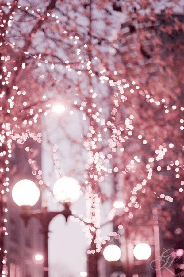 Beautiful Pink Tree Lights