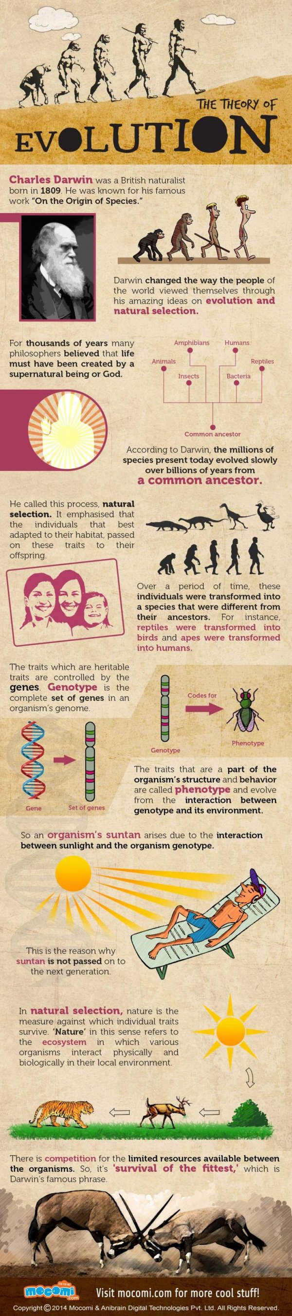 Darwin's Theory of Evolution