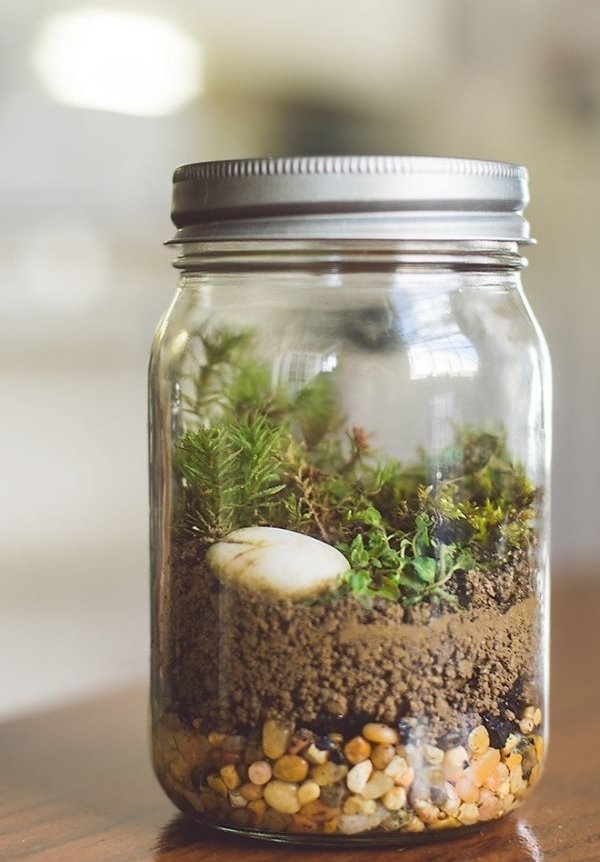 Terrarium Jar