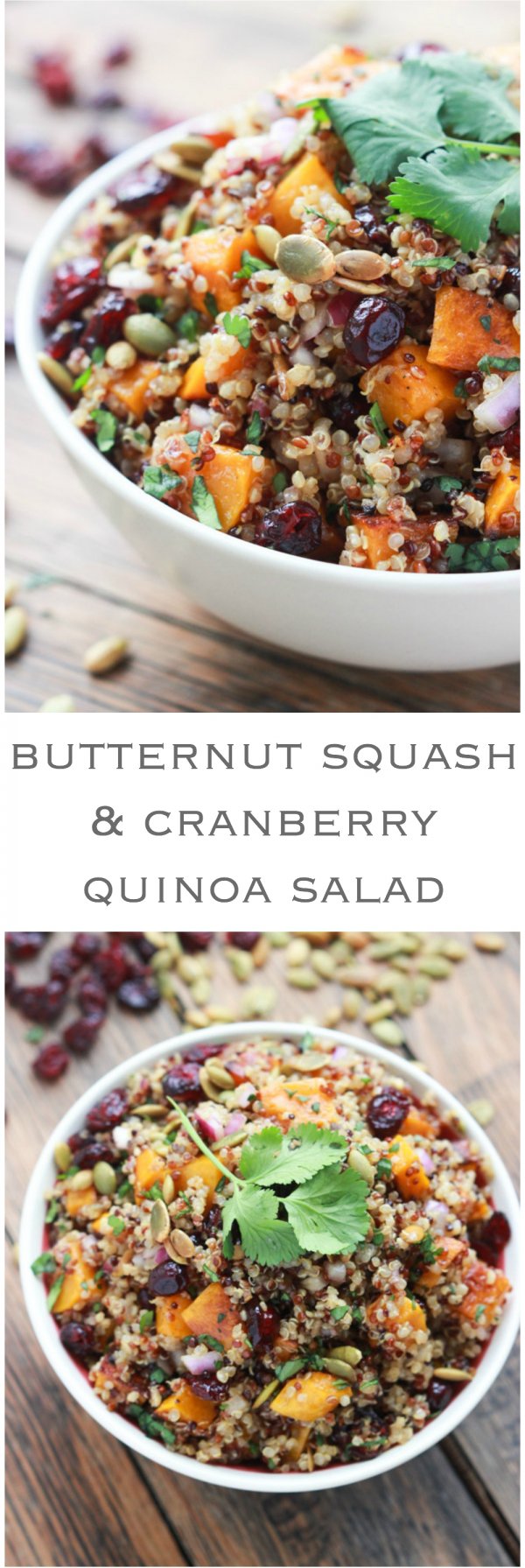 Butternut Squash and Cranberry Quinoa Salad