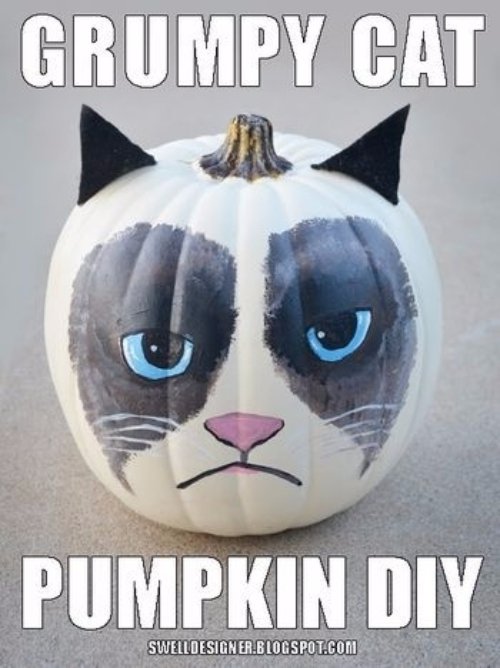 Grumpy Cat