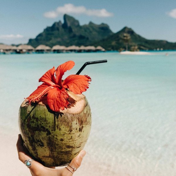 beach, sea, sand, flower,