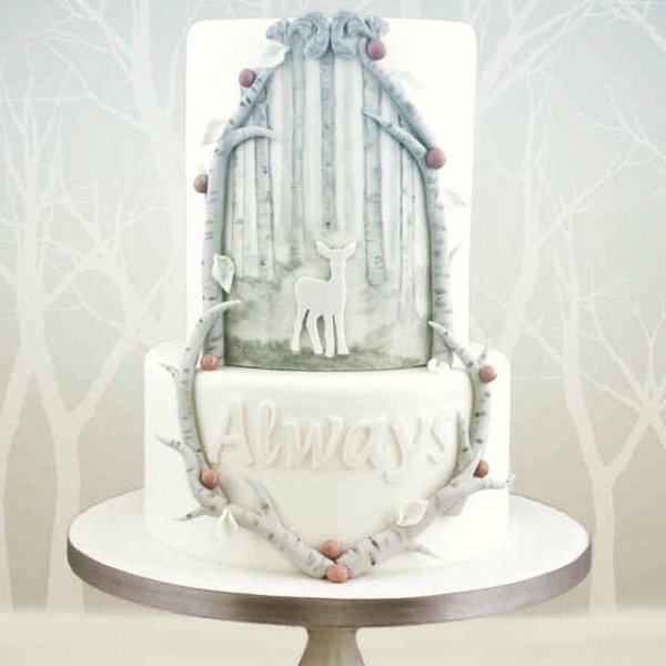 Harry Potter Themed Wedding Cakes for the Nerd in You