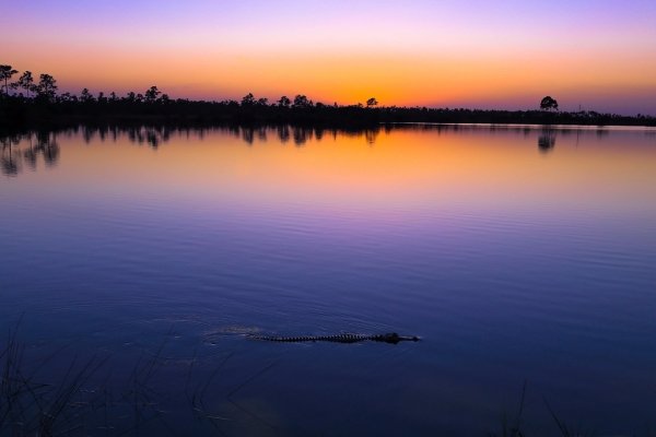 Marjory Stoneman Douglas Wilderness – Florida