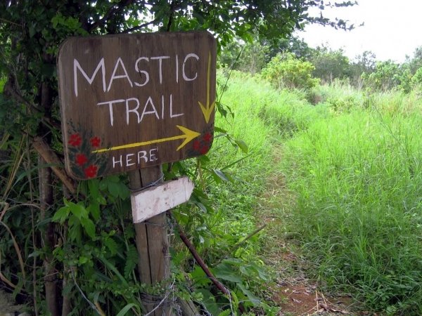 Walk the Mastic Trail