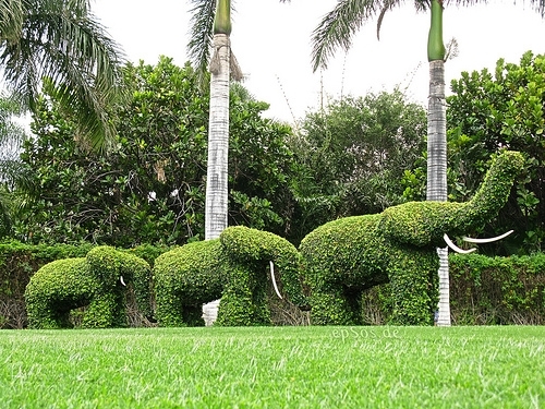 Elephant Topiaries
