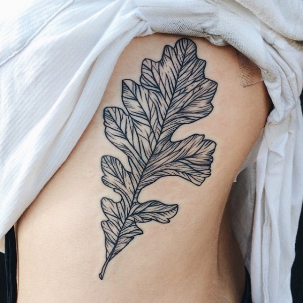 Leaf Outline