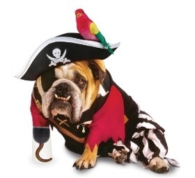 Pirate Dog