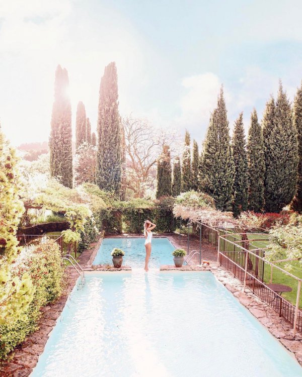 swimming pool, estate, flower, lake, waterway,