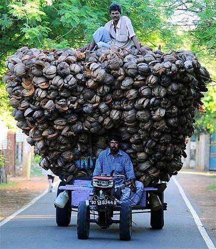 See the Sri Lankans at Work