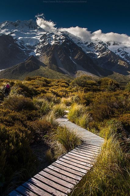 Hobbit Trail, New Zealand