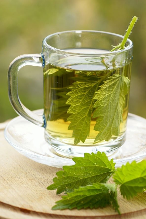 Nettle Tea