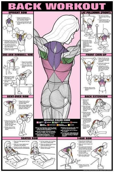 Great Back Workout