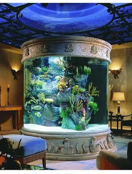 aquarium,painting,mural,lighting,window,