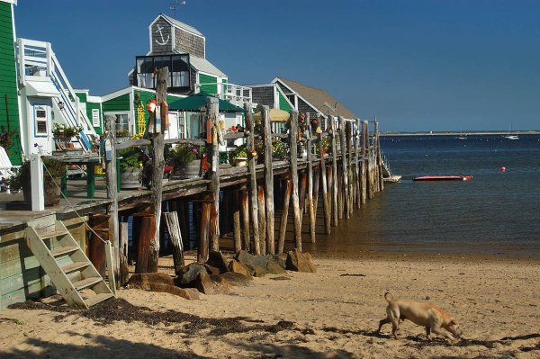 Princely Art Classes at Princetown, Cape Cod, Massachusetts