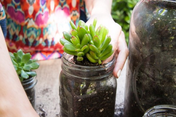 Mason Jars