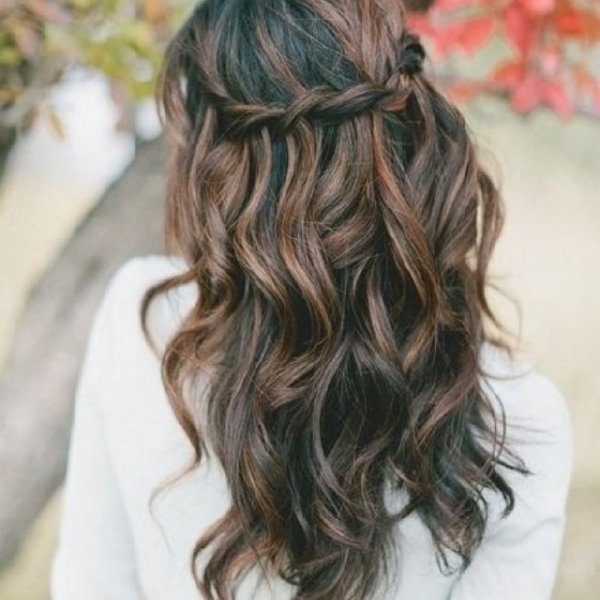 hair,hairstyle,long hair,brown hair,hair coloring,