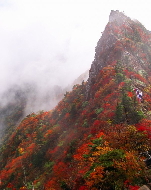 Assuage Your Spirit in Shikoku, Japan