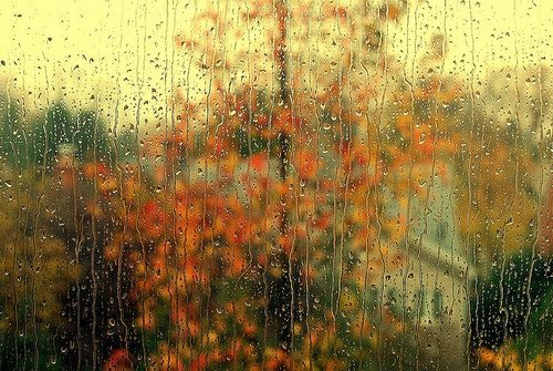 Autumn Rain