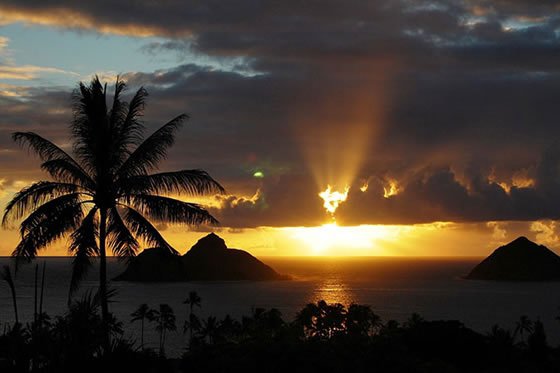 Halekulani Resort in Honolulu, Hawaii, USA