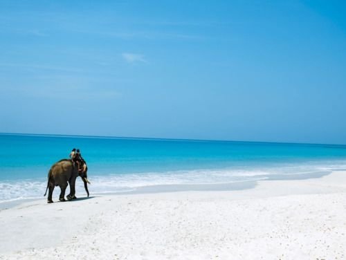 The Fun Starts on Havelock Island