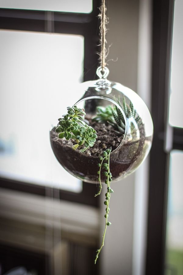 Hanging Terrariums