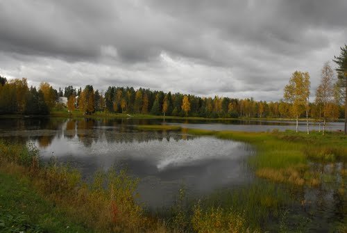 Rovaniemi/Ranua, Finish Lapland