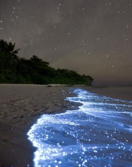 Sea of Stars on Vaadhoo Island