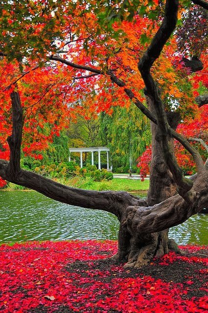 Old Westbury Gardens