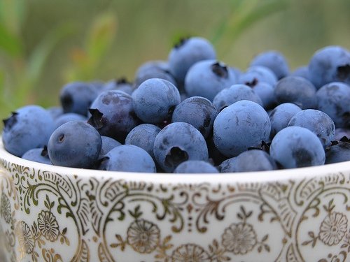 Blueberries