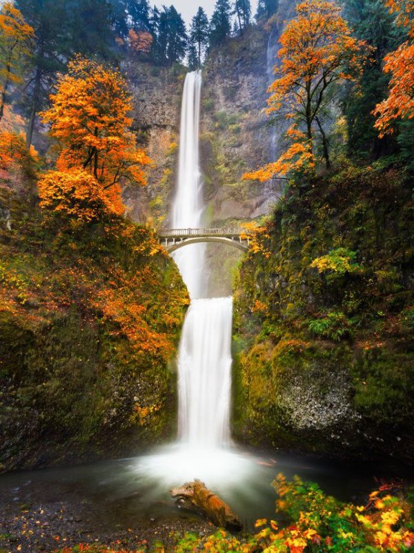 waterfall, nature, water, body of water, leaf,