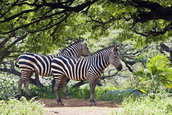 Lake Malawi National Park, Malawi