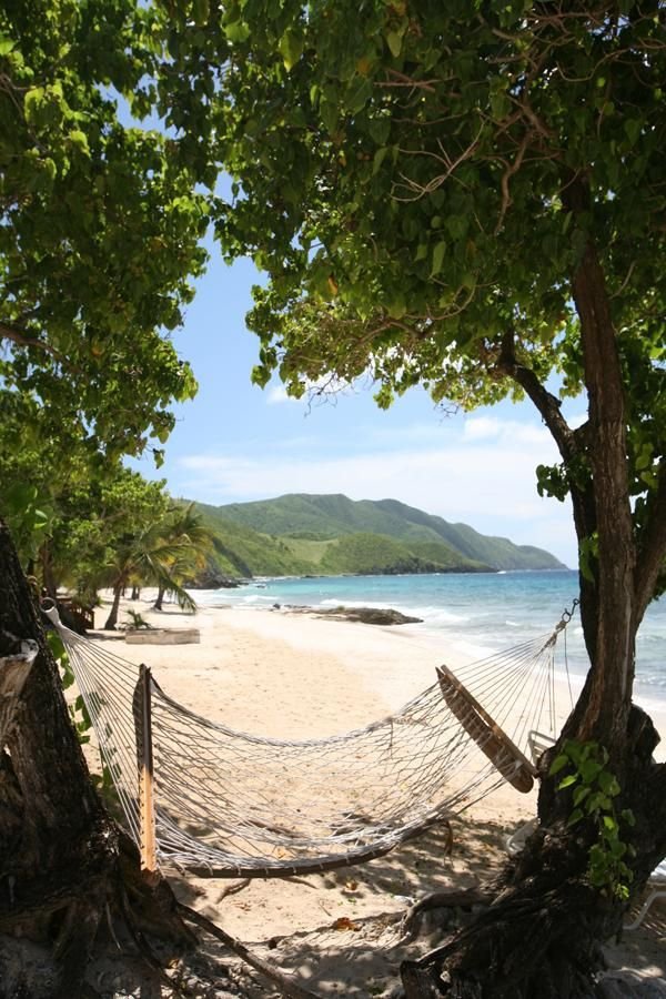 Relaxing in a Hammock