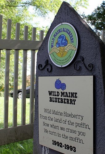 Ben and Jerry's Flavor Graveyard, Waterbury, Vermont