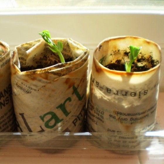 Seedling Starter Pots